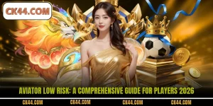Aviator Low Risk: A Comprehensive Guide For Players 2026