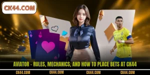 Aviator - Rules, Mechanics, And How To Place Bets At CK44