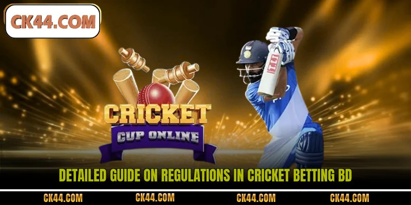 Detailed guide on regulations in Cricket Betting BD