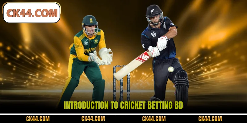 Introduction to Cricket Betting BD