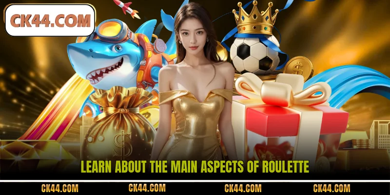 Learn about the main aspects of Roulette
