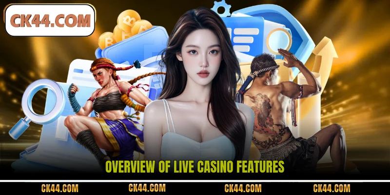 Overview of Live Casino features