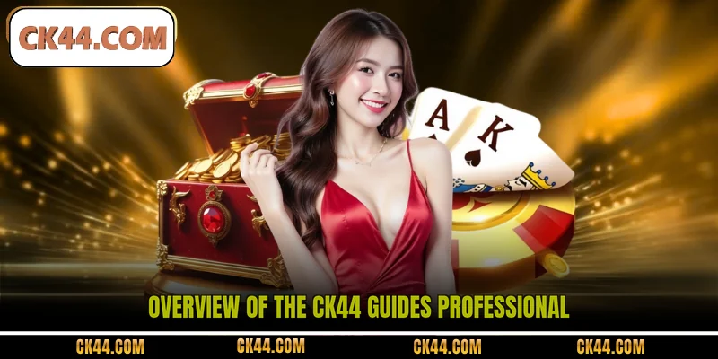 Overview of the CK44 guides professional 